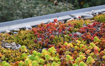 the cost of Pullens Green green roof installation