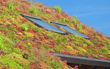 Pullens Green living roof systems