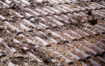 Pullens Green roof cleaning companies