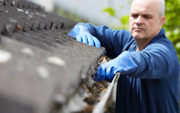 cleaning and inspecting Pullens Green roofs