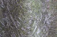 Pullens Green fibreglass roof work